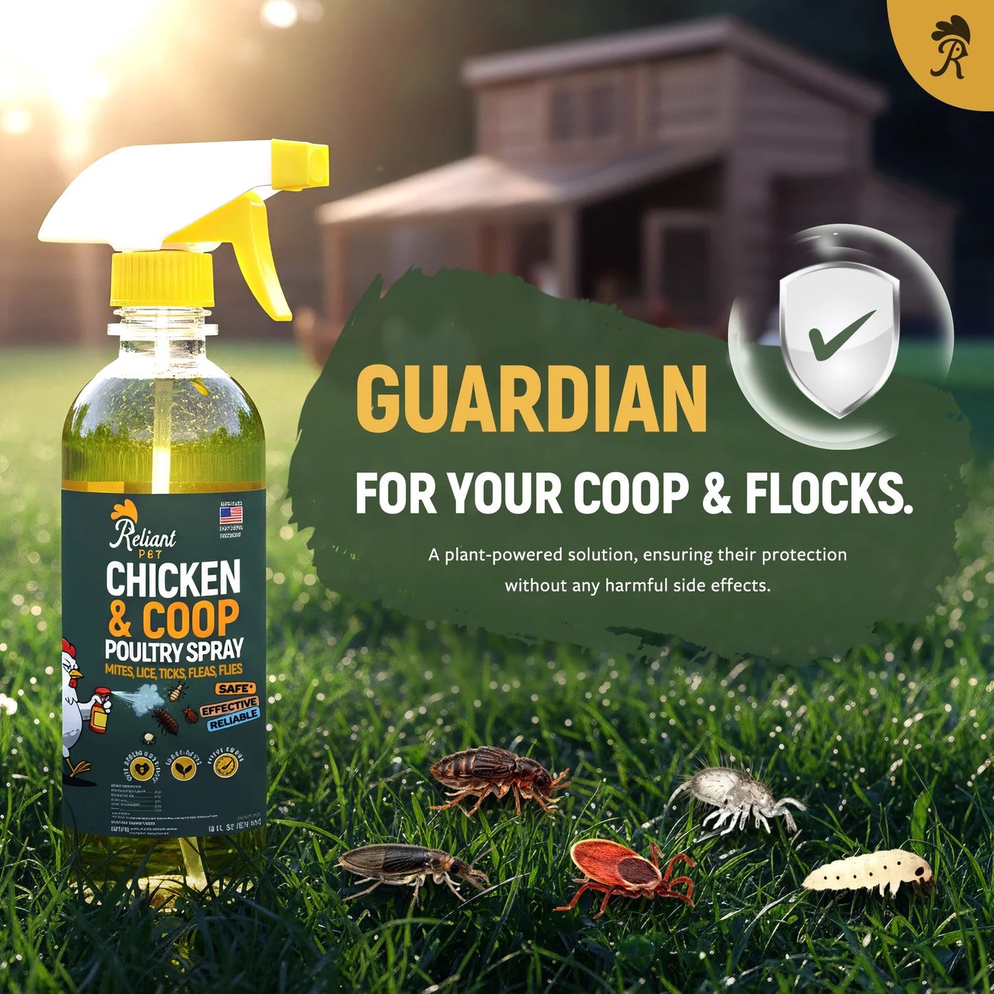 Chicken and Coop Poultry Spray